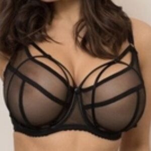 Ewa Michalak black sheer bra 80GG